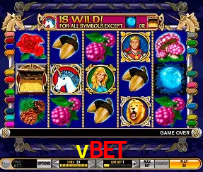 Descubra o Mundo do Cassino Online com vbet